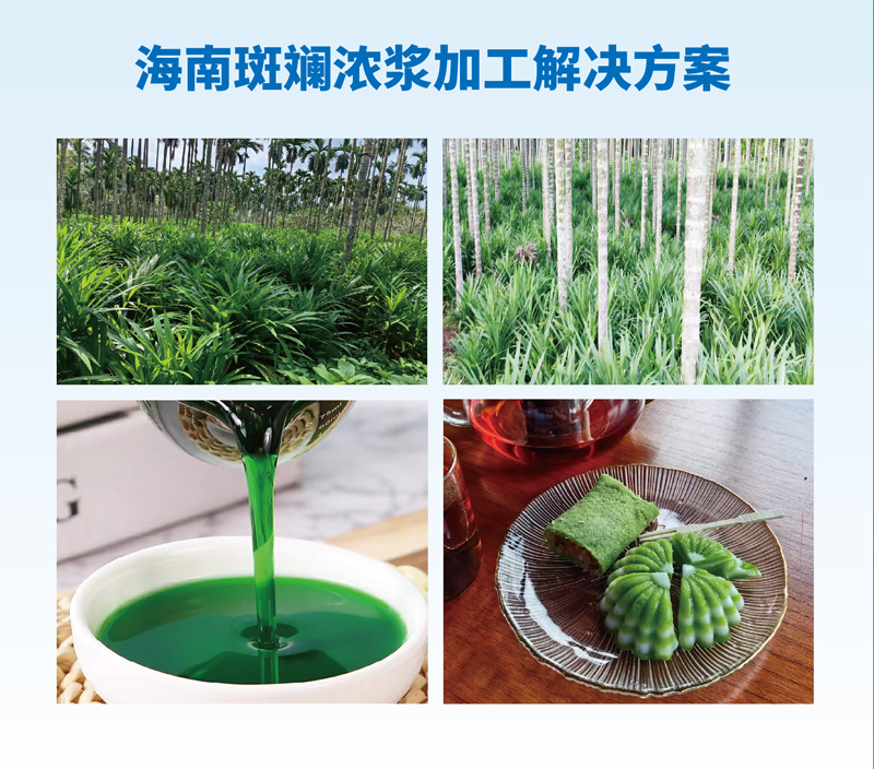 海南斑斓浓浆加工解决方案.jpg